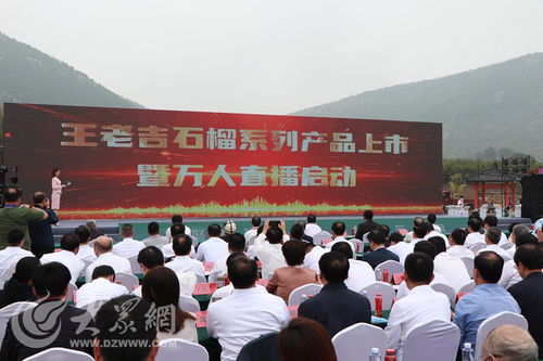 榴聚新動(dòng)能 2023石榴產(chǎn)業(yè)發(fā)展大會(huì)在棗莊開幕，共繪產(chǎn)業(yè)與文化交融新藍(lán)圖